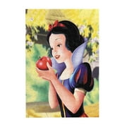 300 Piece Wooden Puzzles Snow Whi-t Jigsaw Puzzles for Adults Kids, Perfect Family Leisure Game